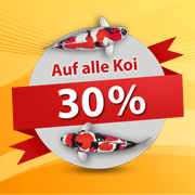 30% Rabatt auf alle Koi