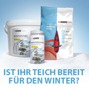 Ist Ihr Teich vorbereitet für den kommenden Winter?