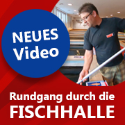 Die schönsten Koi 2018 - Rundgang durch die Fischhallen der Koi Breeder AG!