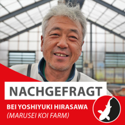 Nachgefragt bei Yoshiyuki Hirasawa