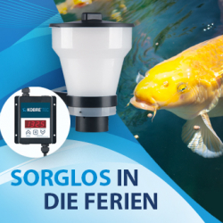 Sorglos in die Ferien