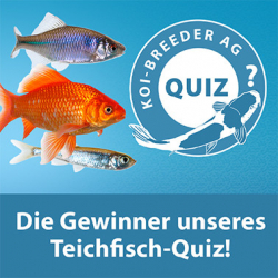 Gewinner des Teichfisch-Quiz 2025