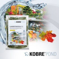 Es ist Herbst und die verfärbten Blätter landen auch im Teich