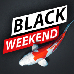 BLACK WEEKEND – 20% Rabatt auf alles!