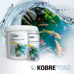 Optimale Frühlingskur für Ihren Teich