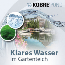 Kobre®Pond Algenkiller