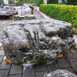 Stein Solitär Findling aus der Schweiz 1440 kg, 130x100x60